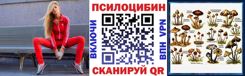 Галлюциногенные грибы GOLDEN TEACHER  Россошь 